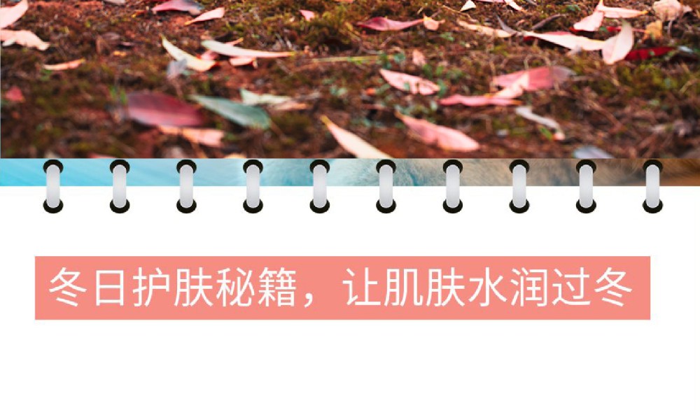冬日护肤秘籍，让肌肤水润过冬