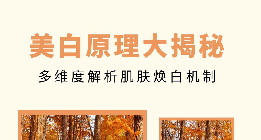 美白原理大揭秘 多维度解析肌肤焕白机制！