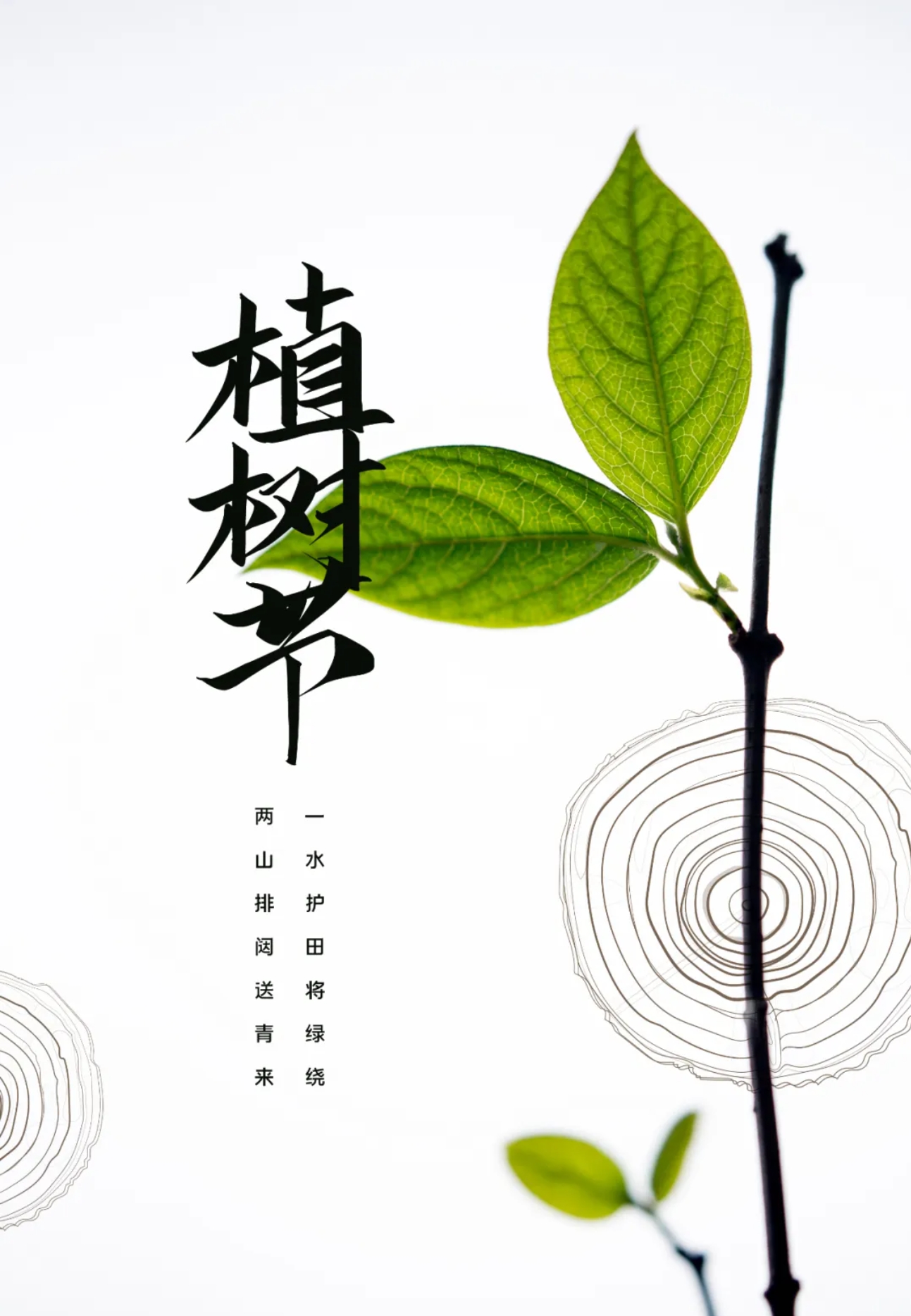 微信截图_20250315140934.png