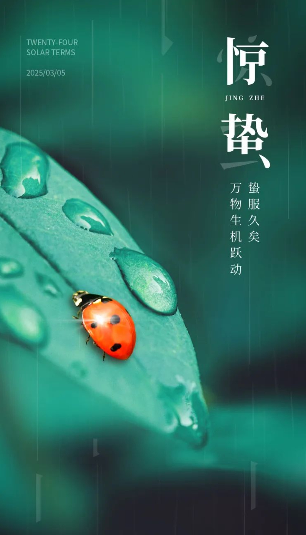 微信截图_20250315141243.png