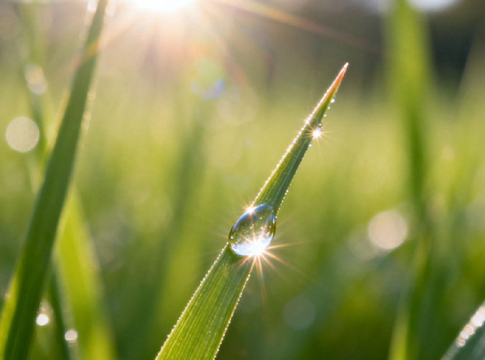 心愈则肤润：以成熟育儿心态，养内外通透好肌肤